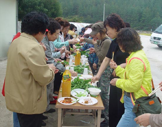 6. 지난 12일 광주현대백화점 회원들이 봉하리로 즙장만들기 체험에 나섰습니다. 봉하리 주민들이 잘 익은 즙장에 돼지고기랑, 직접 가꾼 야채며 과일을 한 상 가득 차려주셨습니다. 